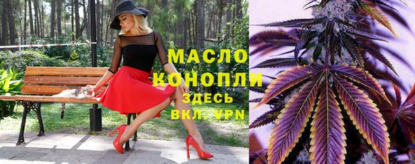 МДПВ Бородино