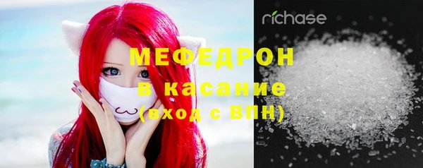 МДПВ Бородино