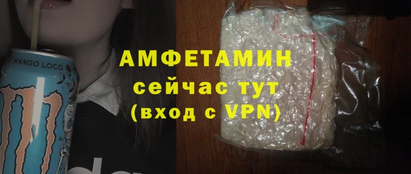 МДПВ Бородино