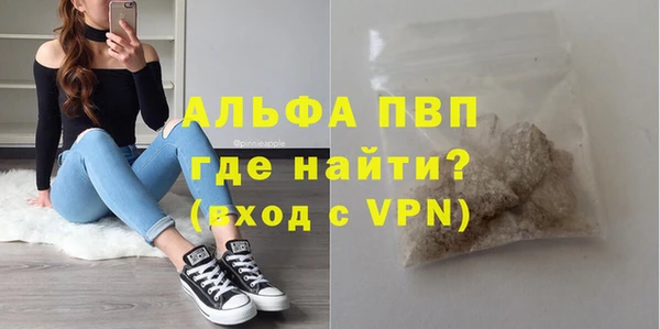 МДПВ Бородино