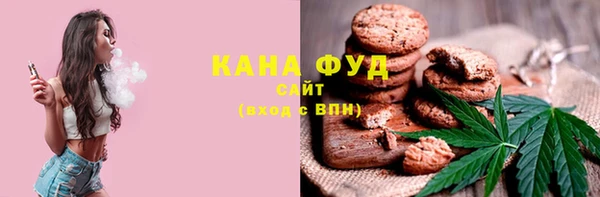 МДПВ Бородино