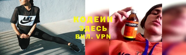 МДПВ Бородино