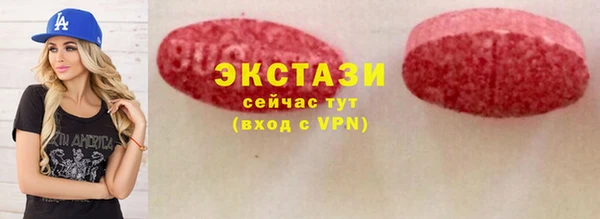 МДПВ Бородино