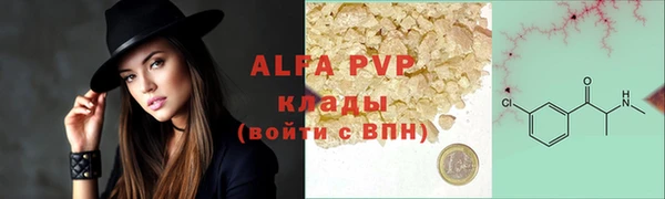 МДПВ Бородино