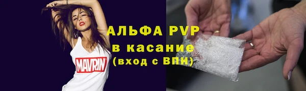 МДПВ Бородино