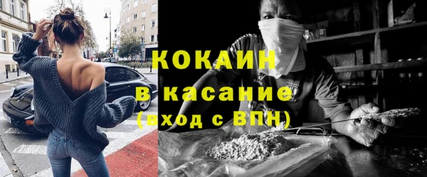 МДПВ Бородино
