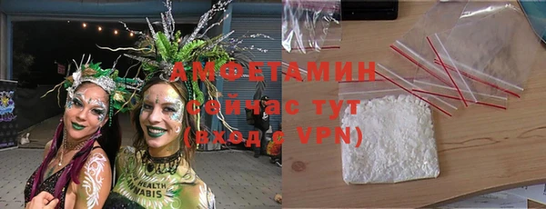 МДПВ Бородино
